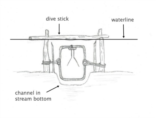 Beaver Trapping Techniques - How To Set A Beaver Trap